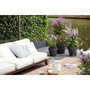 Elho Set de 2 Maceteros Redondos Vibia Campana + Loft con Plato, Negro