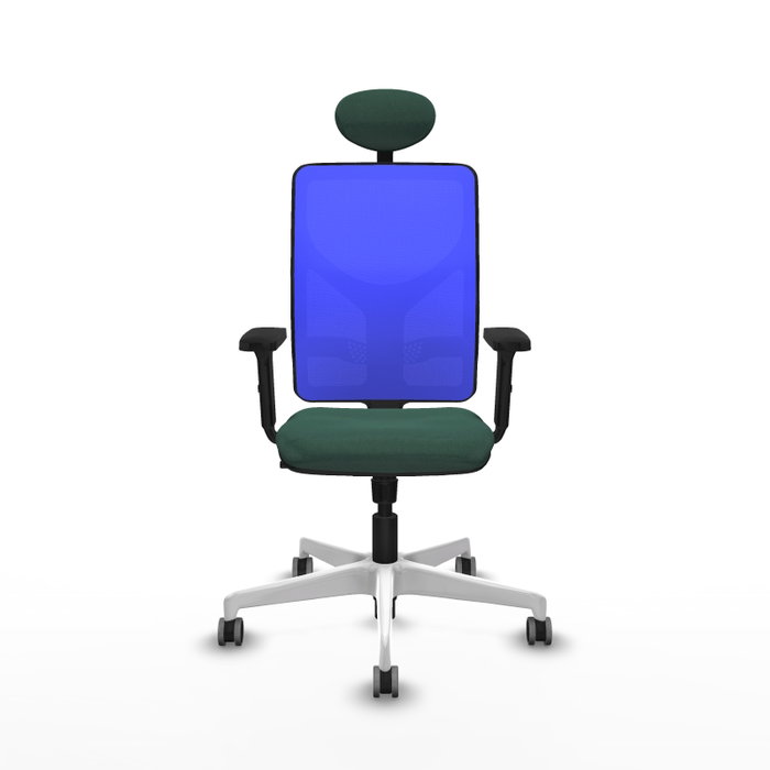 PIQUERAS Y CRESPO Silla de oficina Motilla con mecanismo Sincro, Verde botella y Azul PIQUERAS Y CRESPO Silla de oficina Motilla con mecanismo Sincro, Verde botella y Azul