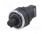 EMAS Potenciómetro Monovuelta 5kΩ 22mm IP65