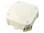 PAWBOL Caja de conexiones blanca IP30