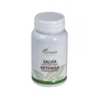 PLANTAPOL Salvia+Artemisa 90 comprimidos