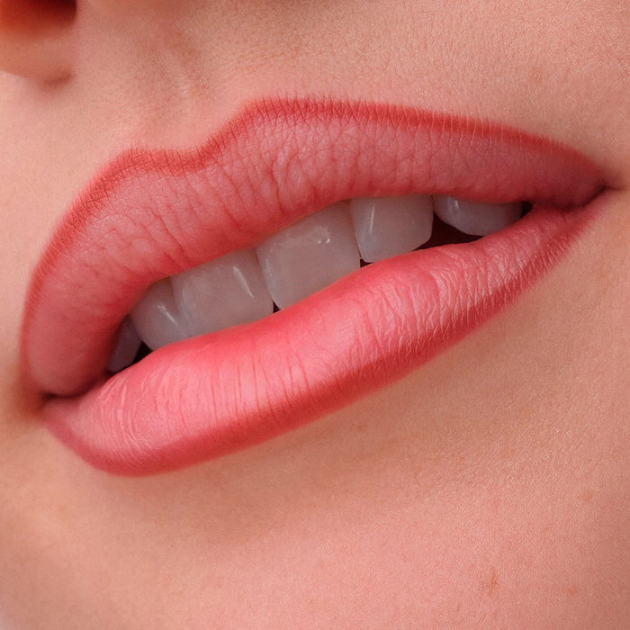 Catrice Precision Ink Perfilador de Labios Efecto Tinta #040