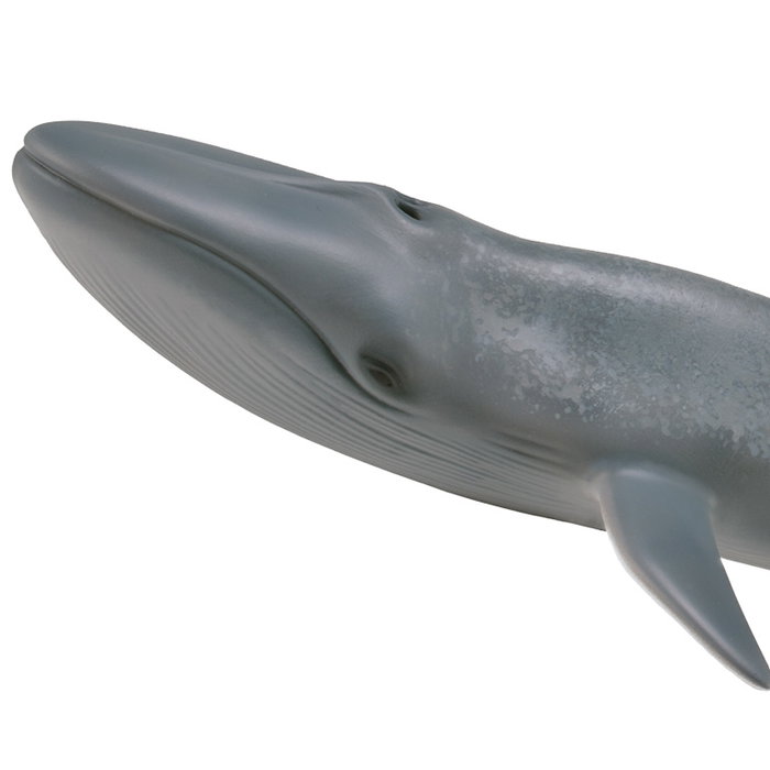 Collecta Ballena Azul XL 88834 Figura Realista Juguete +3 años