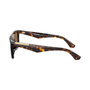Burberry BE4451U-300273 Gafas de sol para hombre con cristal marrón