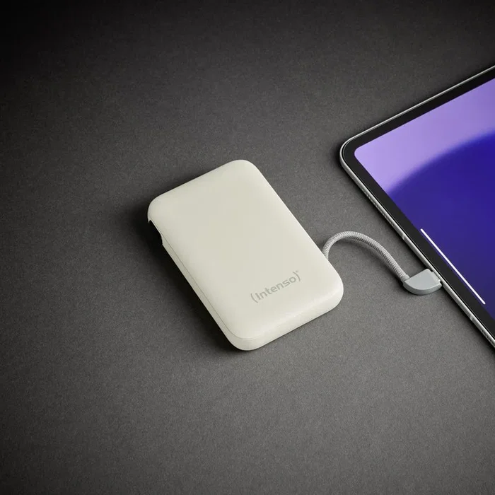 Intenso S10000 Power Bank 10000 mAh Beige con USB-C Integrado Intenso S10000 Power Bank 10000 mAh Beige con USB-C Integrado