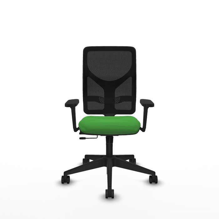 PIQUERAS Y CRESPO Silla de oficina Motilla con mecanismo Sincro/Traslack Verde y Negro PIQUERAS Y CRESPO Silla de oficina Motilla con mecanismo Sincro/Traslack Verde y Negro