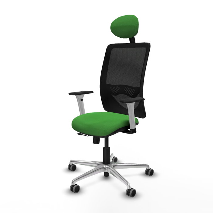 PIQUERAS Y CRESPO Silla de oficina Zulema con mecanismo Sincro/Traslack, Verde y Negro PIQUERAS Y CRESPO Silla de oficina Zulema con mecanismo Sincro/Traslack, Verde y Negro