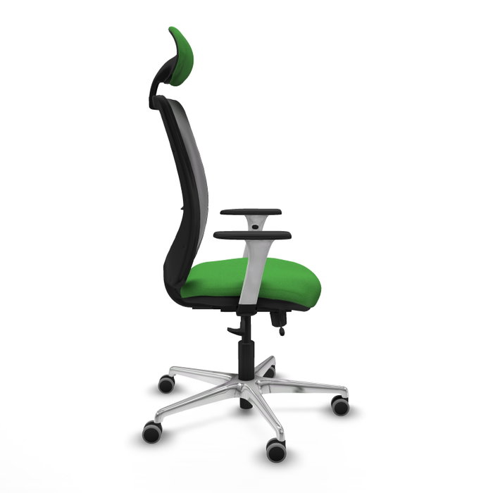 PIQUERAS Y CRESPO Silla de oficina Zulema con mecanismo Sincro/Traslack, Verde y Negro PIQUERAS Y CRESPO Silla de oficina Zulema con mecanismo Sincro/Traslack, Verde y Negro