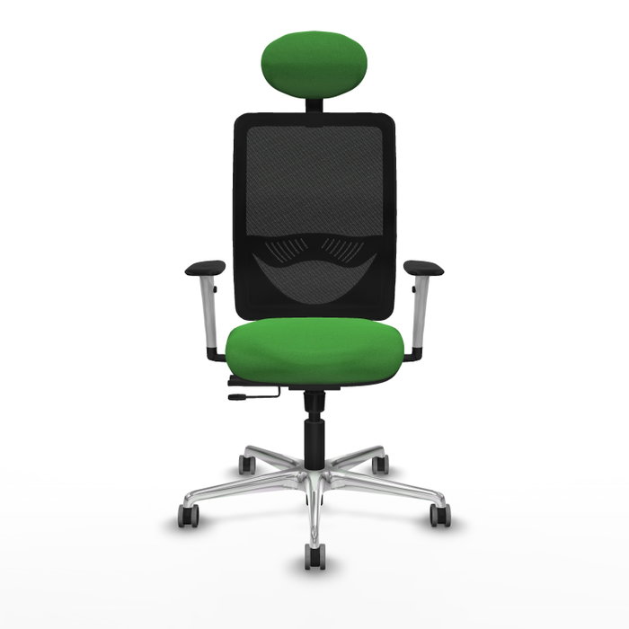 PIQUERAS Y CRESPO Silla de oficina Zulema con mecanismo Sincro/Traslack, Verde y Negro PIQUERAS Y CRESPO Silla de oficina Zulema con mecanismo Sincro/Traslack, Verde y Negro
