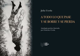 A todo lo que pase y se borre y se pierda, Julia Uceda - FUNDACION JOSE MANUEL LARA