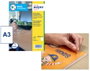 Avery AM001A3 Etiquetas Autoadhesivas Antibacterianas Transparentes A3