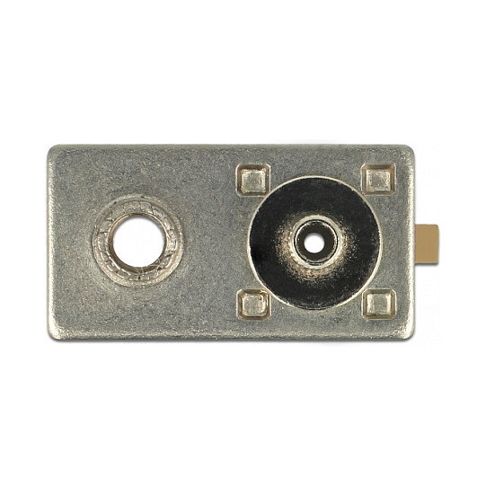 DeLOCK 89749 Conector coaxial FAKRA I Macho