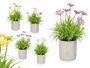 IBERGARDEN Maceta Cemento Cuadrados Margaritas Surtido 4 Colores