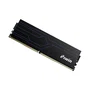 Biwin HW100 1R8-D16EB 16GB (2x8GB) DDR4 3200MT/s CL16 Black