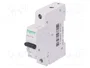 SCHNEIDER ELECTRIC Interruptor magnetotérmico K60N 16A 1P 6kA