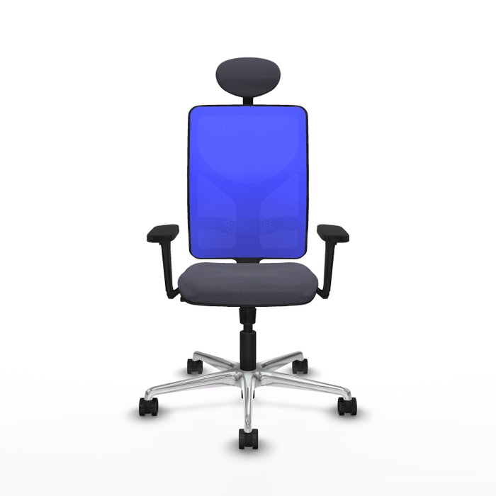 PIQUERAS Y CRESPO Silla de oficina Motilla con mecanismo Sincro, Gris oscuro y Azul