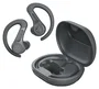 Jlab Sport True Wireless Stereo (TWS) Bluetooth grafito