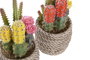 DKD Home Decor Planta de Cactus Decorativa Surtida en Amarillo y Naranja