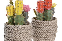 DKD Home Decor Planta Cactus Amarillo Naranja 9.5 x 18 x 9 cm (6 Unidades)