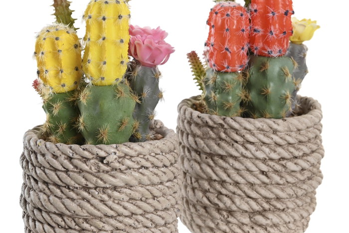 DKD Home Decor Planta de Cactus Decorativa Surtida en Amarillo y Naranja DKD Home Decor Planta de Cactus Decorativa Surtida en Amarillo y Naranja