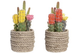 DKD Home Decor Planta de Cactus Decorativa Surtida en Amarillo y Naranja