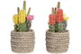 DKD Home Decor Planta de Cactus Decorativa Surtida en Amarillo y Naranja