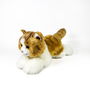Deqube Peluche Gato Marron Y Blanco Tumbado 25Cm 939D00299 Bocalan