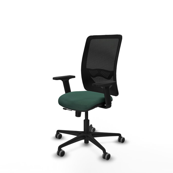 PIQUERAS Y CRESPO Silla de oficina Zulema con mecanismo Sincro/Traslack Verde botella y Negro PIQUERAS Y CRESPO Silla de oficina Zulema con mecanismo Sincro/Traslack Verde botella y Negro