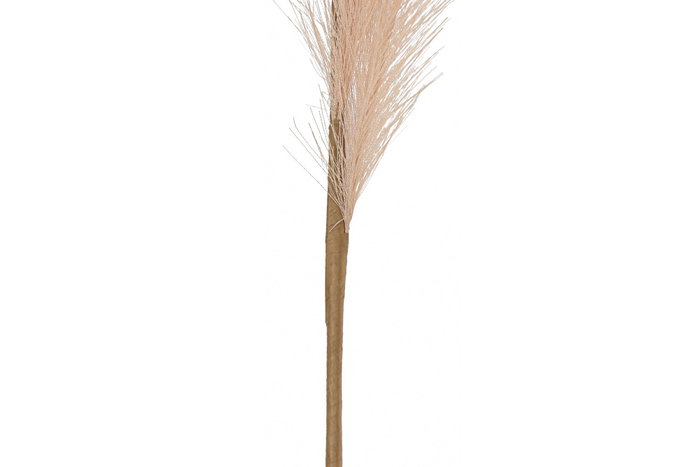 DKD Home Decor Plumero de Ramal en Poliéster Surtido 19x19x120 cm DKD Home Decor Plumero de Ramal en Poliéster Surtido 19x19x120 cm