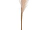 DKD Home Decor Plumero de Ramal en Poliéster Surtido 19x19x120 cm