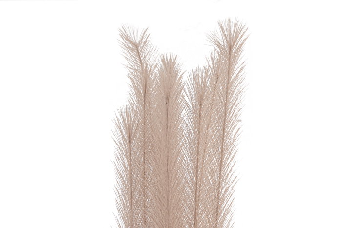 DKD Home Decor Plumero de Ramal en Poliéster Surtido 19x19x120 cm DKD Home Decor Plumero de Ramal en Poliéster Surtido 19x19x120 cm