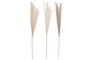DKD Home Decor Plumero de Ramal en Poliéster Surtido 19x19x120 cm