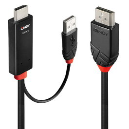 Lindy Adaptador de Cable de Vídeo HDMI + USB Type-A a DisplayPort Negro, 1 m