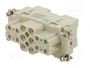 LAPP Conector Industrial EPIC® H-K 006.2/12 FAS 6-10 HDC