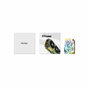 ZOTAC GAMING GeForce RTX 5060 SOLO 8 GB GDDR7 Negro