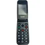 Qubo Neonw-Bk Teléfono Móvil 4G para Mayores con Botón SOS, Pantalla Grande 2.4' Plegable, Radio FM y Dual SIM, Color Negro