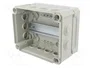 OBO BETTERMANN Caja de conexiones T 160 HD LGR IP66