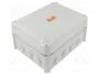 OBO BETTERMANN Caja de conexiones T 160 HD LGR IP66