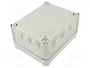 OBO BETTERMANN Caja de conexiones T 160 HD LGR IP66