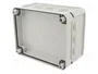 OBO BETTERMANN Caja de conexiones T 160 HD LGR IP66