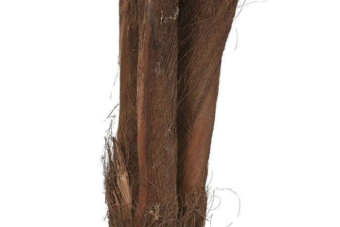 DKD Home Decor Planta Tropical Verde Marron 80 x 165 x 80 cm (2 Unidades) PE Fibra