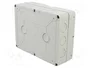 GEWISS 27 COMBI Carcasa para Aparatos Modulares Gris IP55