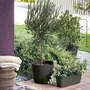 Deroma DER0191942096166 Jardinera Origin 18 L Antracita