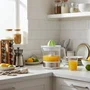 Haeger Perfect Juice Exprimidor de Cítricos Eléctrico 25W 0.7L con Filtro Ajustable y Rotación Bidireccional, 2 Conos, Blanco, Plata, Verde