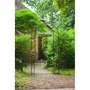 NATURALEZA Pérgola de Acero Galvanizado Lacado Epoxi Negro con Decoración Scroll - H230 x 100 x 37 cm