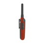 Kidywolf Kidytalk Walkie-Talkies con linterna