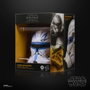 Hasbro Star Wars: The Clone Wars Black Series Minicasco Clon Captain Rex 15 cm