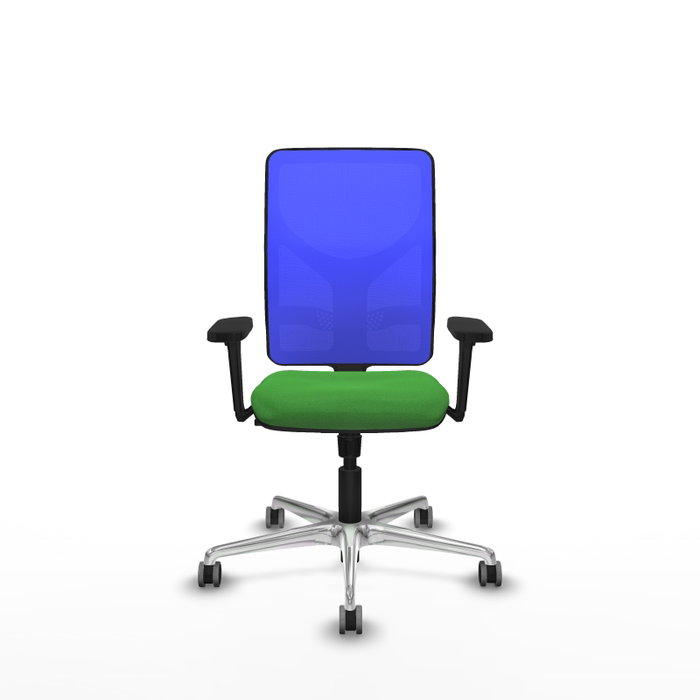 PIQUERAS Y CRESPO Silla de oficina Motilla con mecanismo Sincro, Tela Verde y Malla Azul PIQUERAS Y CRESPO Silla de oficina Motilla con mecanismo Sincro, Tela Verde y Malla Azul