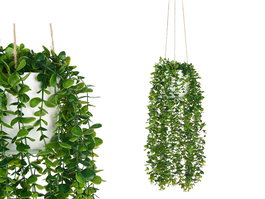 Ibergarden Maceta Colgante en Forma de Regadera, Color Verde, Plástico, Incluye Soga para Colgar, Dimensiones 24 x 55 x 22 cm (Maceta 12 x 12 x 11 cm) (Set de 6)