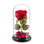 Caison Rosa roja eterna con LEDs y cúpula de cristal 20 cm